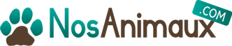 Logo Nos Animaux
