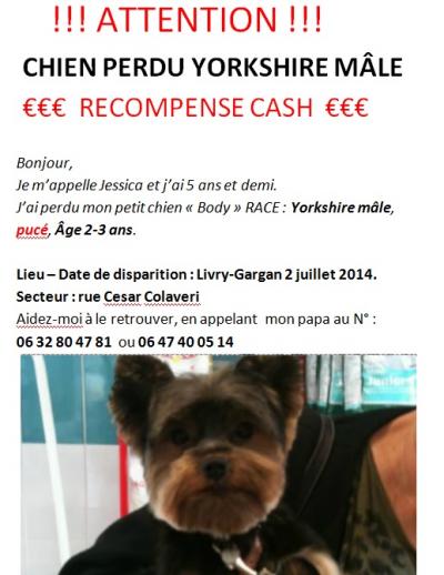 FILM PORN STREAMING ESCORT ALENCON C du porno escort livry gargan