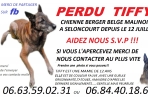 Chien