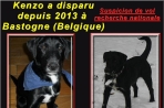 Chien
