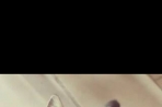 Chien
