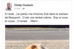 Chien