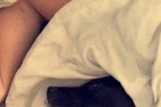 Chien