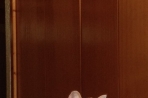 Chien