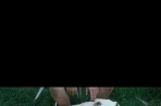 Chien