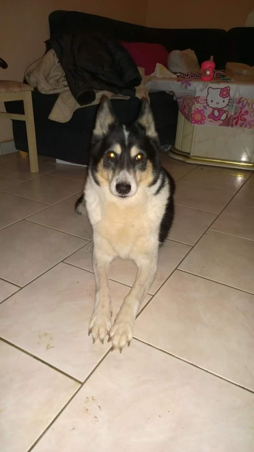 chat sexe vigneux sur seine