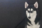 Chien