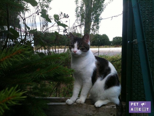 Rencontre hot sur iphone