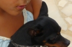 Chien