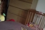 Chien