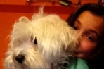 Chien