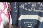 Chien