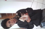 Chien