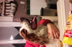 Chien