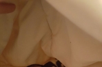 Chien