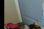Chien