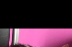 Chien