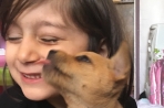 Chien