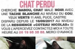 Chien