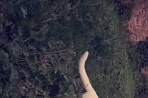 Chien