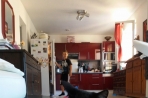 Chien