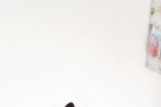 Chien