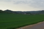 Chien
