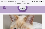 Chien