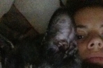 Chien