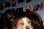Chien