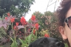 Chien