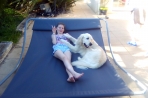 Chien