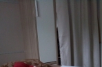 Chien