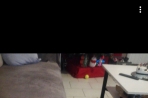 Chien