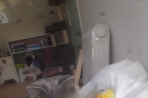 Chien