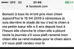 Chien