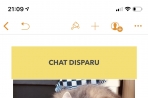 Chien