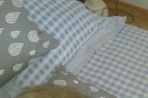 Chien