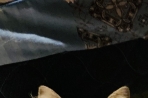 Chien