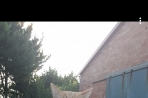Chien