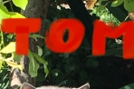 Chien