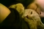 Chien