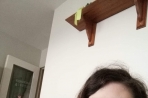 Chien