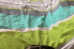 Chien
