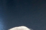 Chien