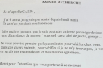 Chien