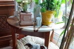 Chien