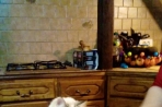 Chien