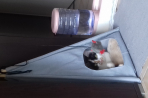 Chien