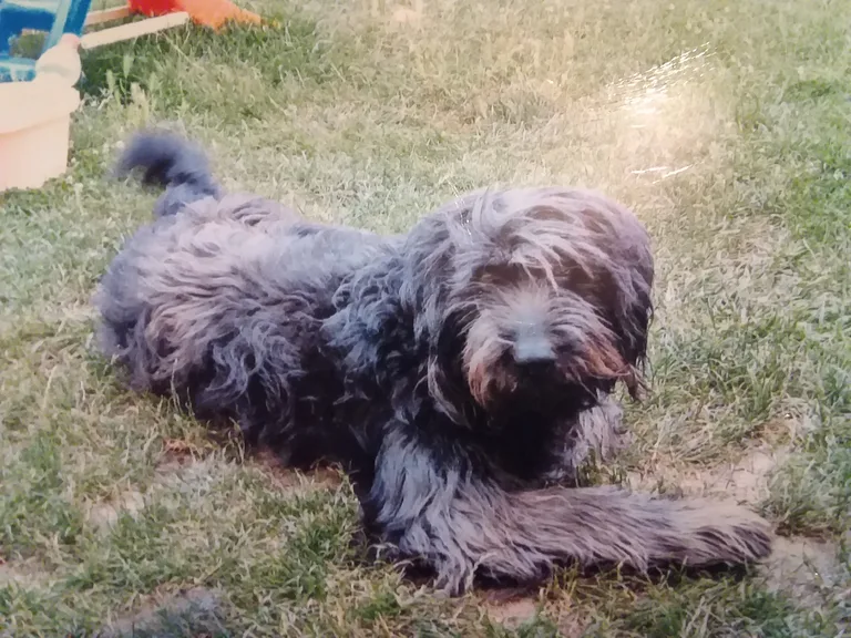 Kaiser